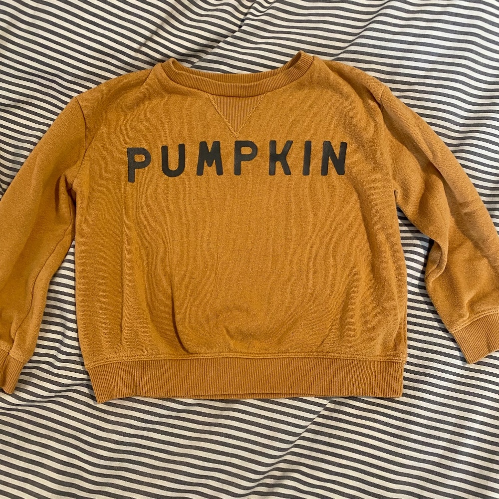 Lauren Conrad Little Co Pumpkin Sweatshirt- 2T